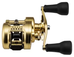 Shimano Calcutta Conquest MD Baitcasting Reels -Fish Gear Shop shimano calcutta conquest md baitcasting reels 25316.1674255441