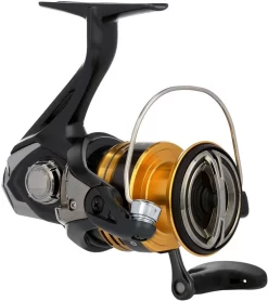 Shimano Sahara FJ Spinning Reels -Fish Gear Shop shimano sahara fj spinning reels 63926.1651444120
