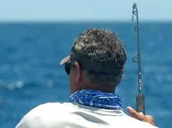 Shimano Terez Conventional Rods -Fish Gear Shop shimano terez conventional fishing rods 83511.1661538644