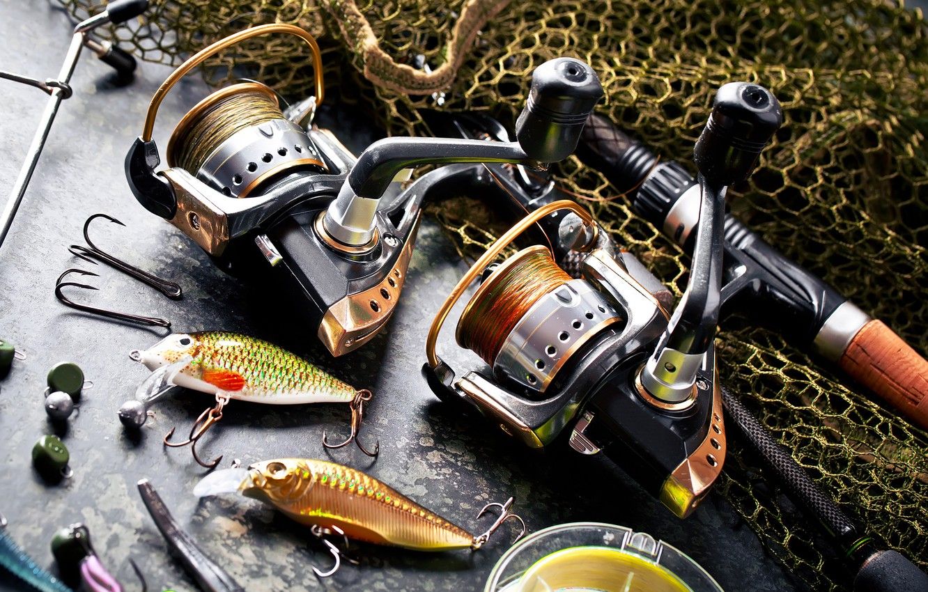 Fish Gear Shop -Fish Gear Shop wp9880456